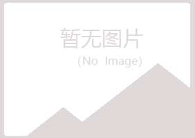 阳山县梦柏快递有限公司